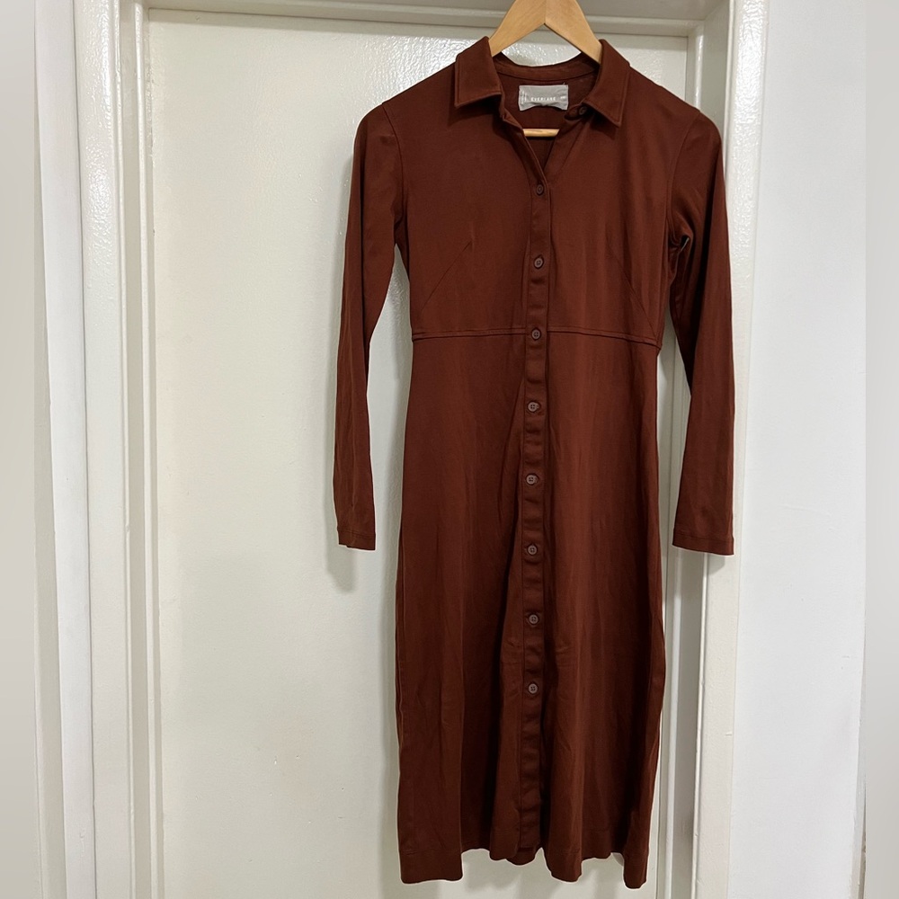 Everlane Chocolate Long Sleeve Dress